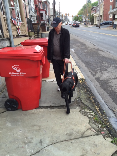 Otter guiding me around a trash can